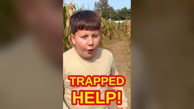 Can They Escape the Corn Maze